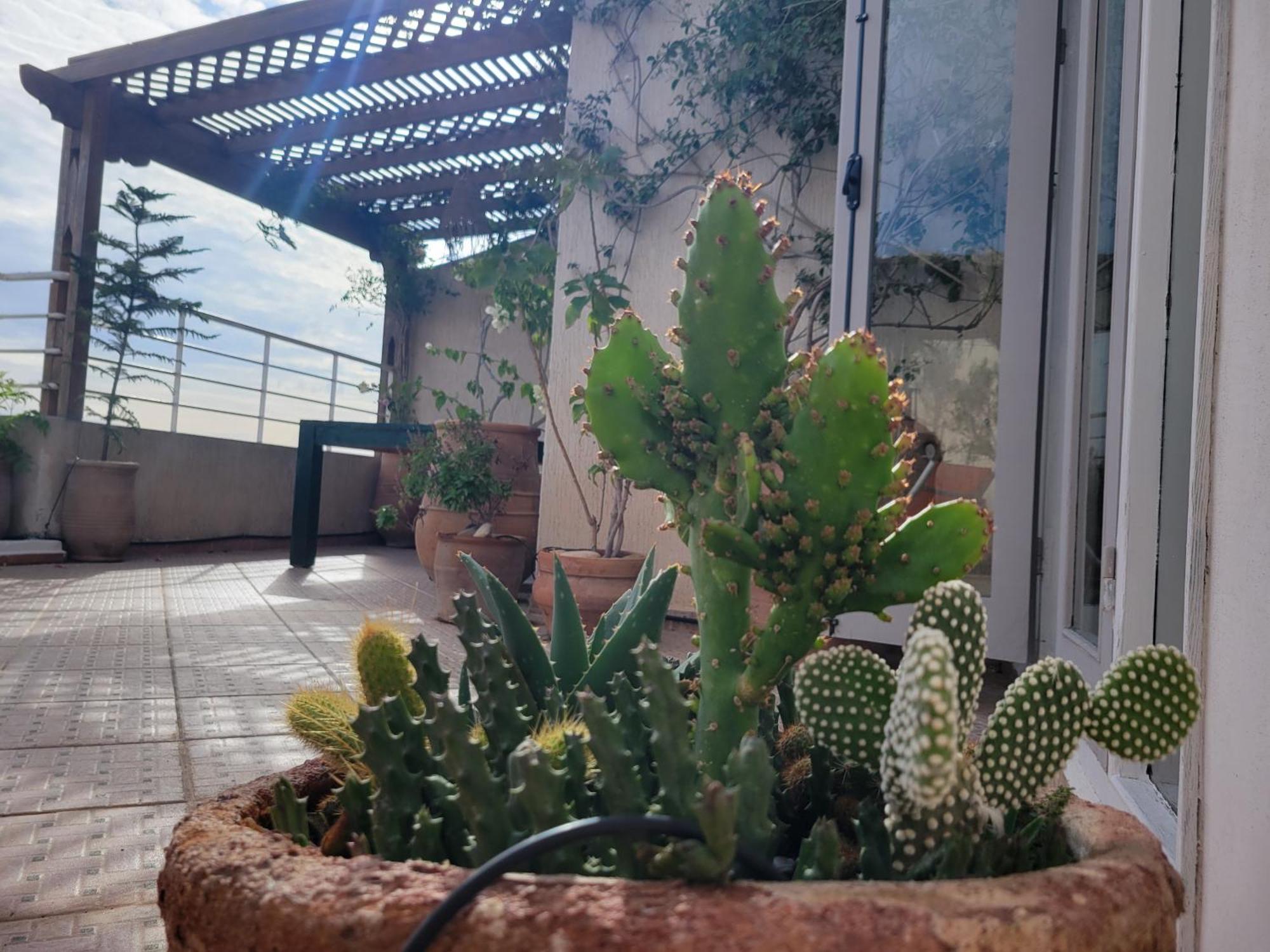 Las Terrazas Mogador Essaouira Luaran gambar